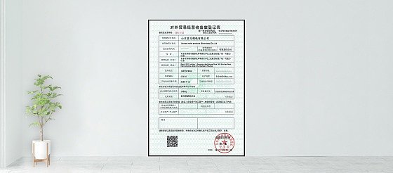 Record Registration Form of Foreign Trade Operators
