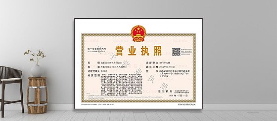 Business License