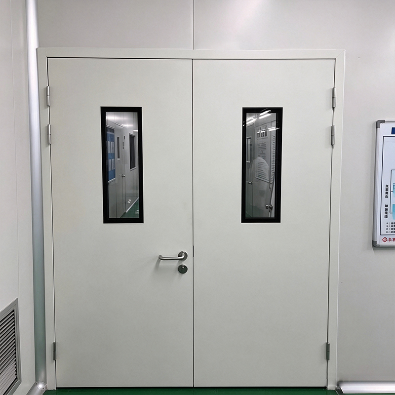 Steel Door