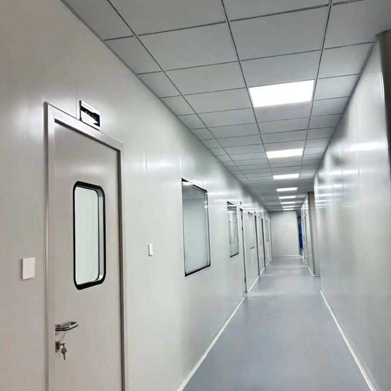 Cleanroom Engineering for Food Processing Plants