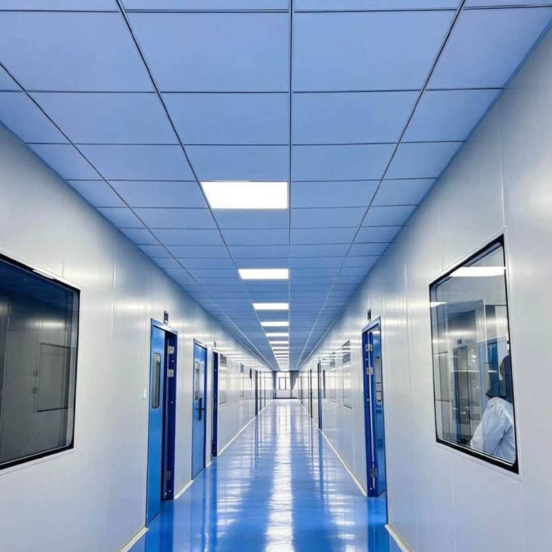 Cleanroom Engineering for Food Processing Plants