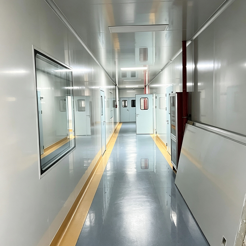 Cleanroom Engineering for Food Processing Plants