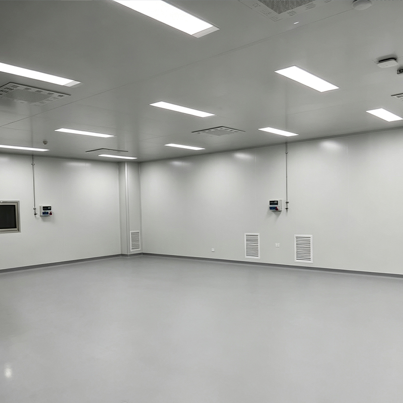 Cleanroom Engineering for Food Processing Plants