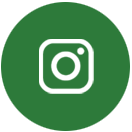 ins1-