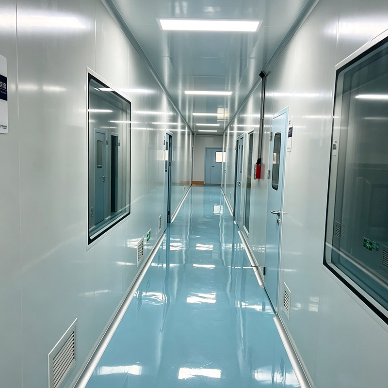 Cleanroom Engineering for Food Processing Plants