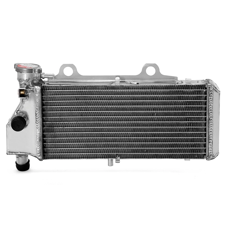 For BMW F650CS Wholesale Custom Motorcycle Radiator