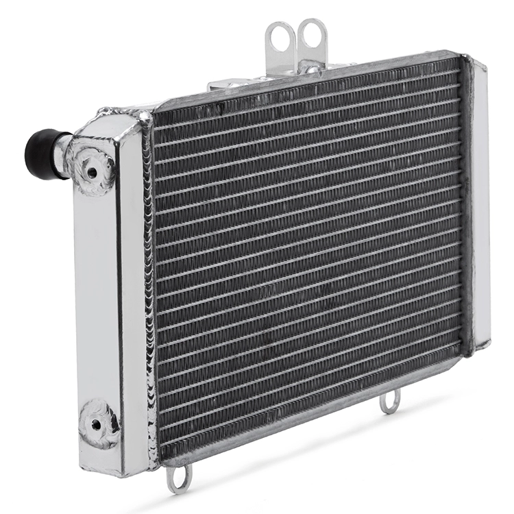 Custom Motorcycle Aluminum Radiator For HONDA CB1000 93-96