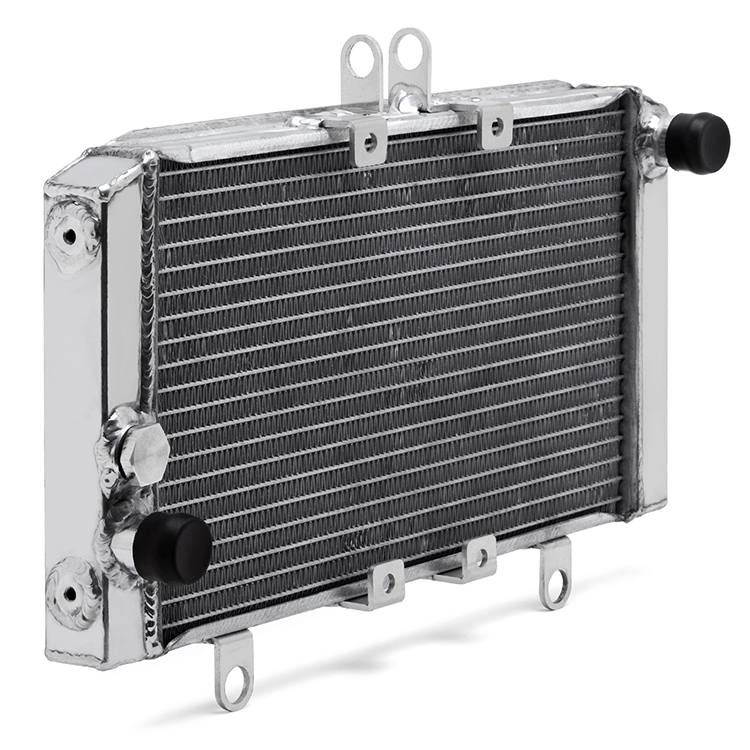 Custom Motorcycle Aluminum Radiator For HONDA CB1000 93-96