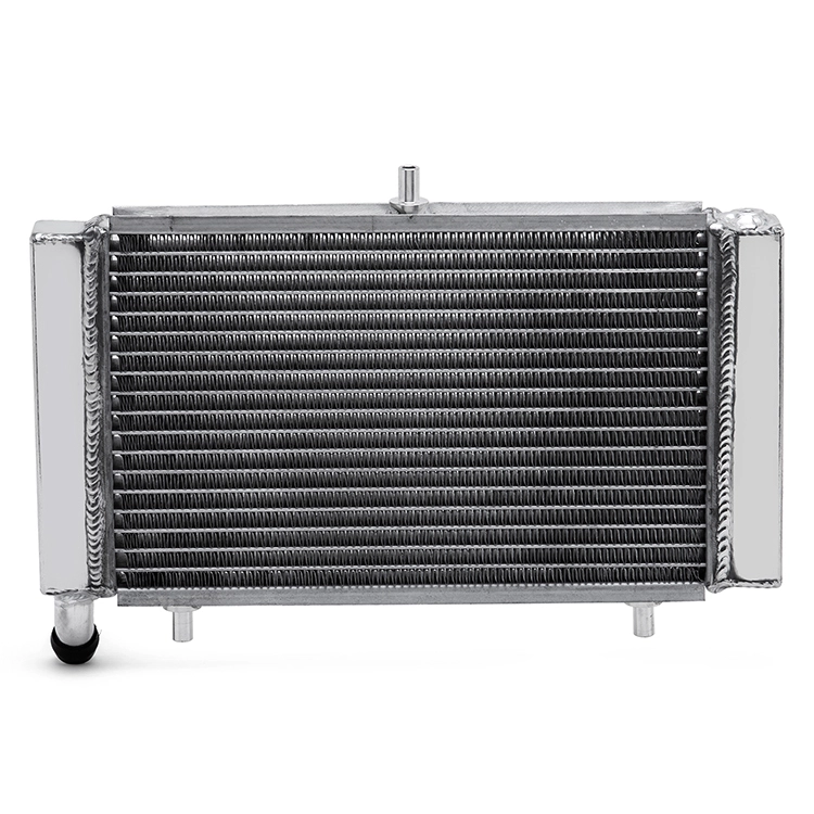 Custom Motorcycle Aluminum Radiator For APRILIA RS125 2T / RS 125 GS / RS 125 SportPro / Tuono 125