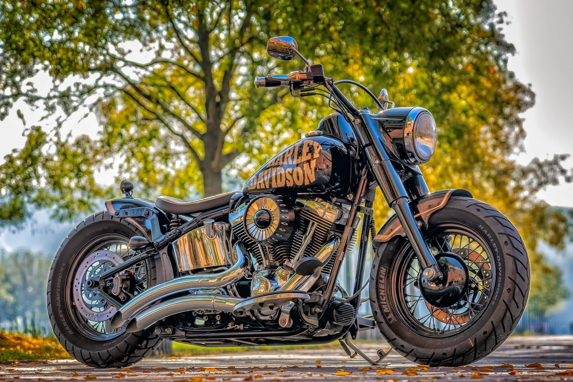 How to Choose The Right Motorcycle Wheel for Your Bike