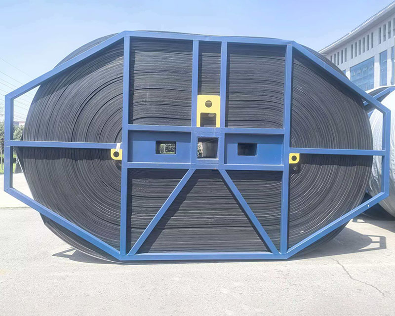 Layered Conveyor Belt