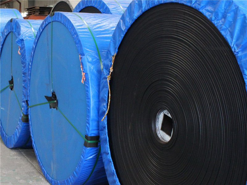 Cold-Resistant, Acid- and Alkali-Resistant Conveyor Belts