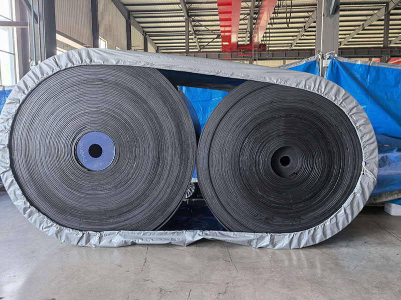 High-Strength, Wear-Resistant Conveyor Belts