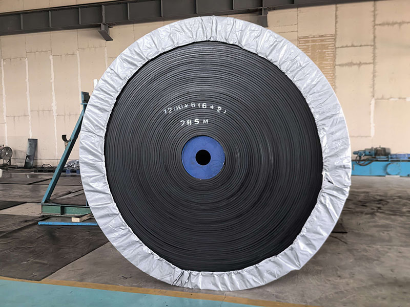 High-Strength, Wear-Resistant Conveyor Belts