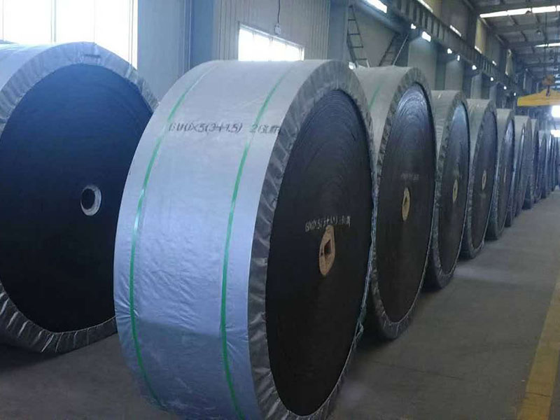 Cold-Resistant, Acid- and Alkali-Resistant Conveyor Belts