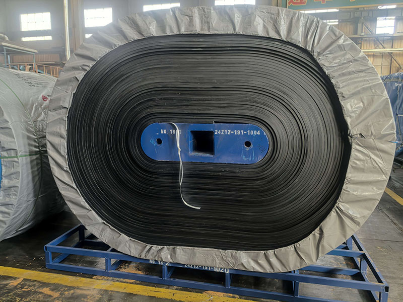 Cold-Resistant, Acid- and Alkali-Resistant Conveyor Belts