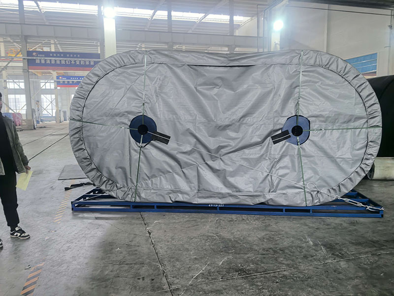 Cold-Resistant, Acid- and Alkali-Resistant Conveyor Belts