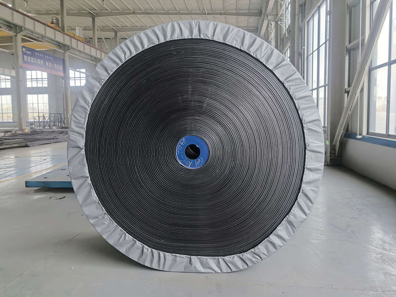 Cold-Resistant, Acid- and Alkali-Resistant Conveyor Belts