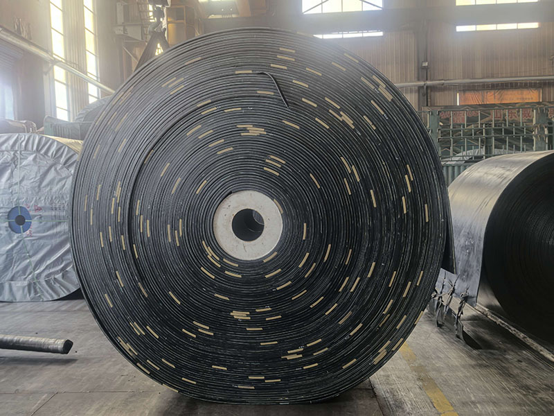 Cold-Resistant, Acid- and Alkali-Resistant Conveyor Belts