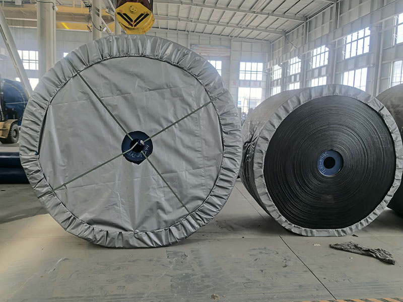 Layered Conveyor Belt