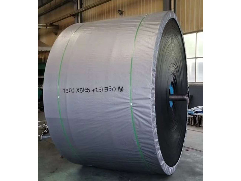 Layered Conveyor Belt