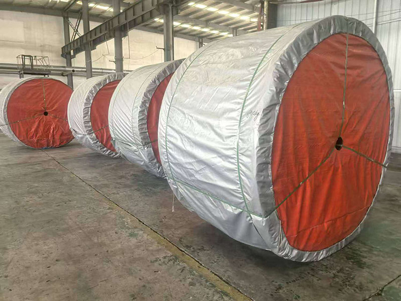 Layered Conveyor Belt