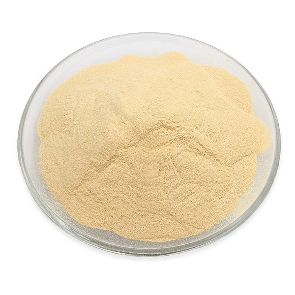 Yeast Extract