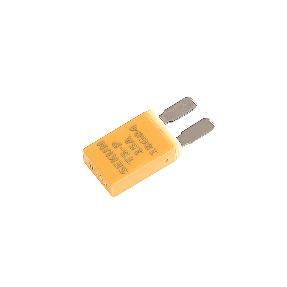 TS-P Car Window Motor Protector