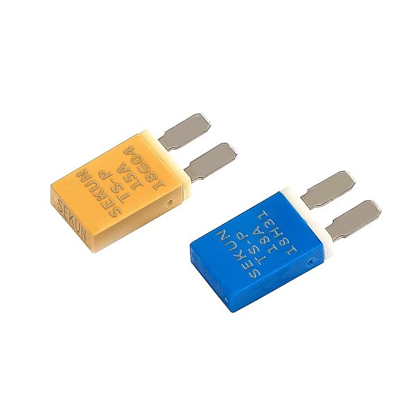 TS-P Car Window Motor Protector