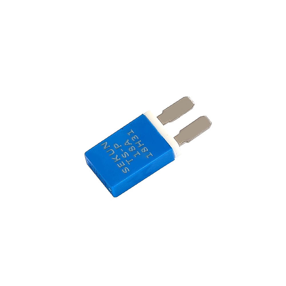 TS-P Car Window Motor Protector