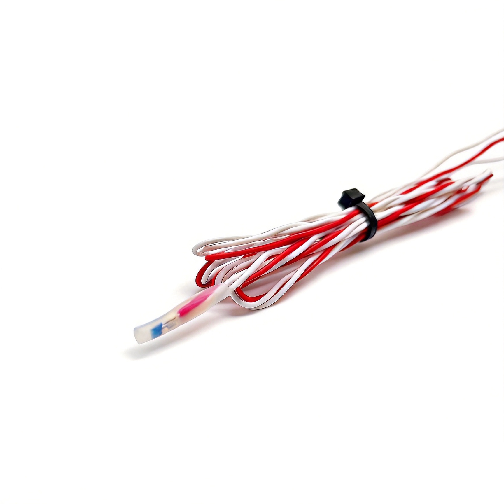 PT100 Temperature Sensor - Plastic-Encapsulated Type