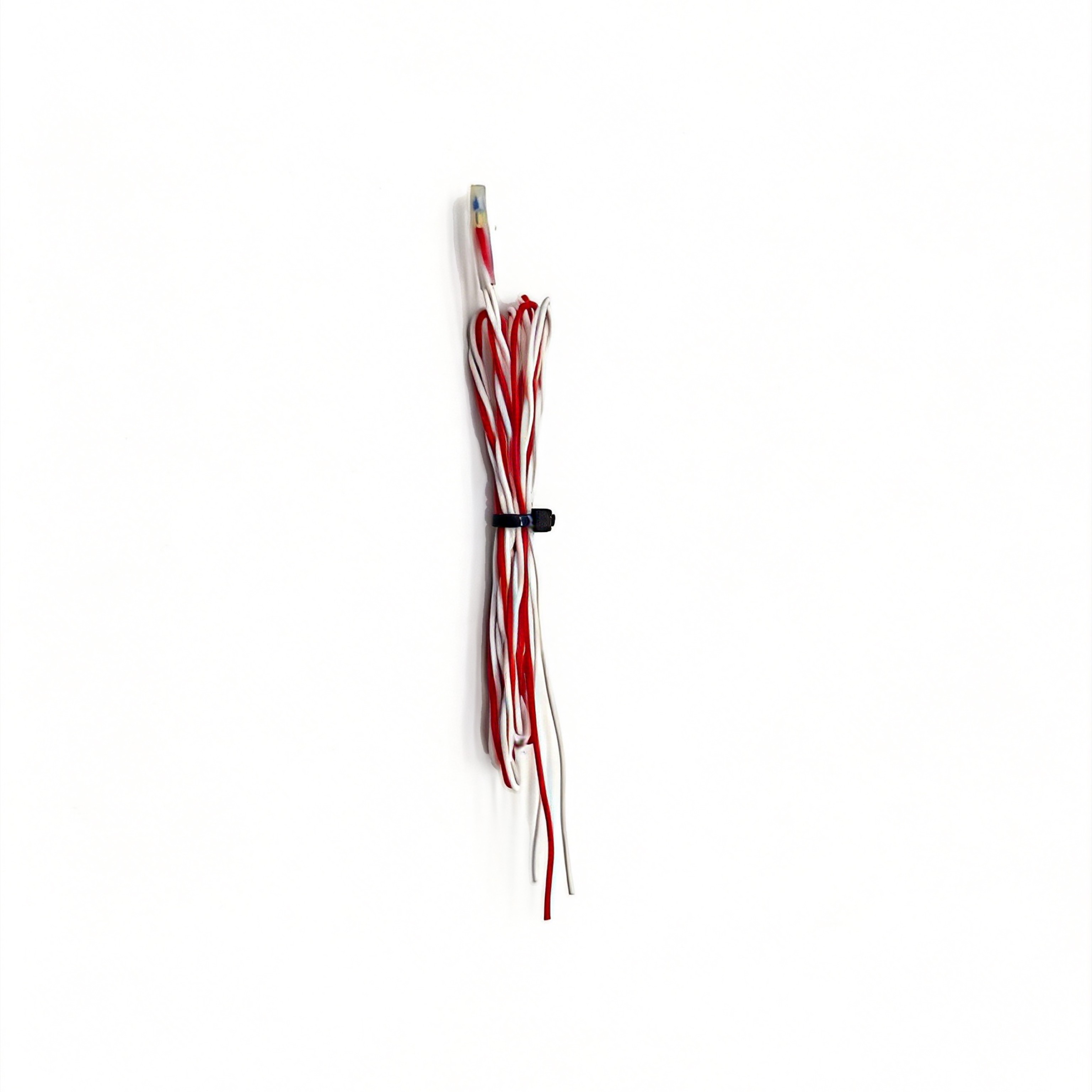 PT100 Temperature Sensor - Plastic-Encapsulated Type