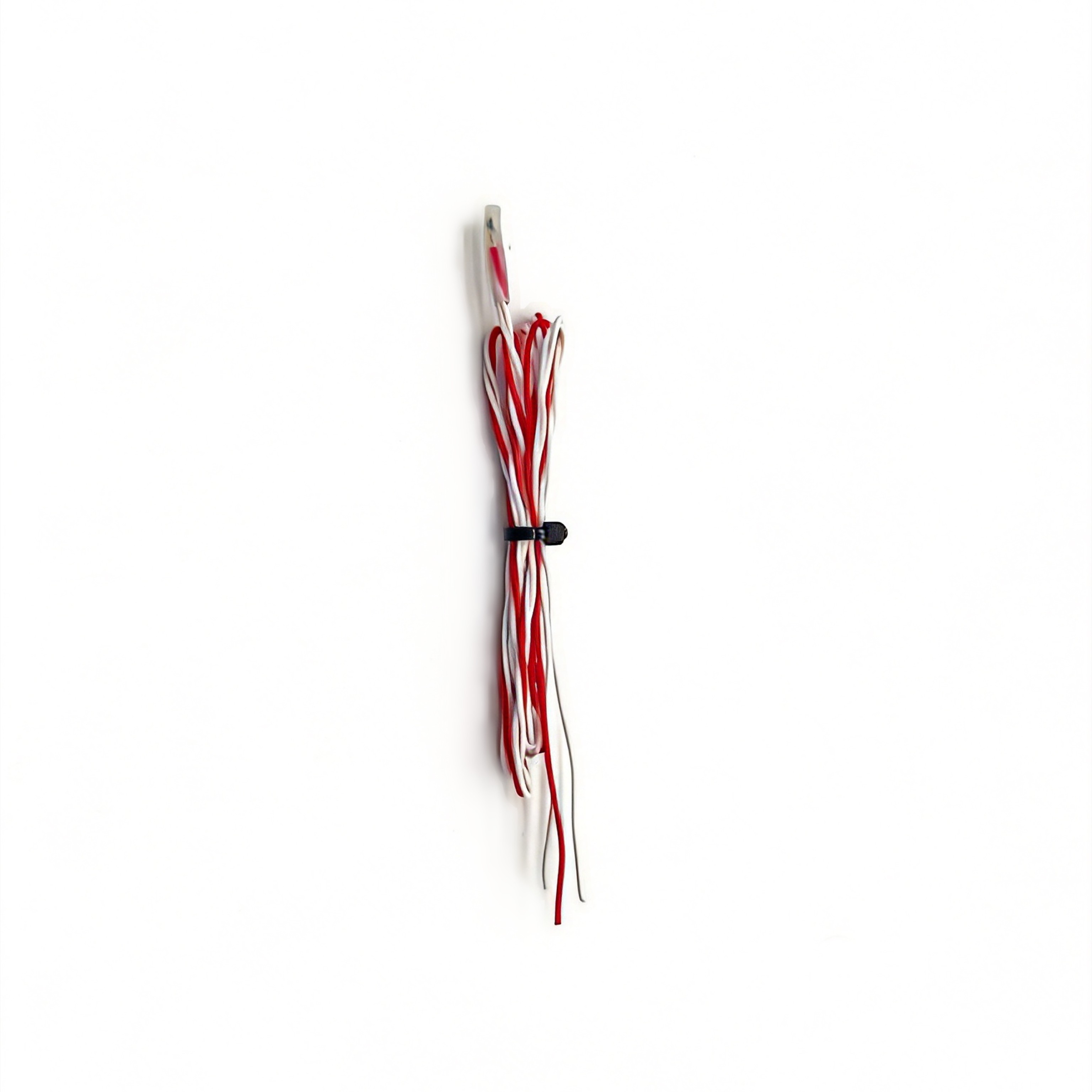 PT100 Temperature Sensor - Plastic-Encapsulated Type