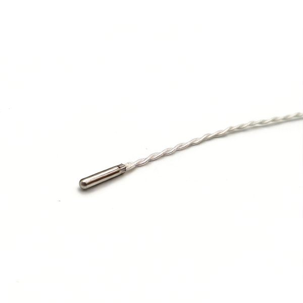 PT1000 Temperature Sensor – Glue-Sealed Type