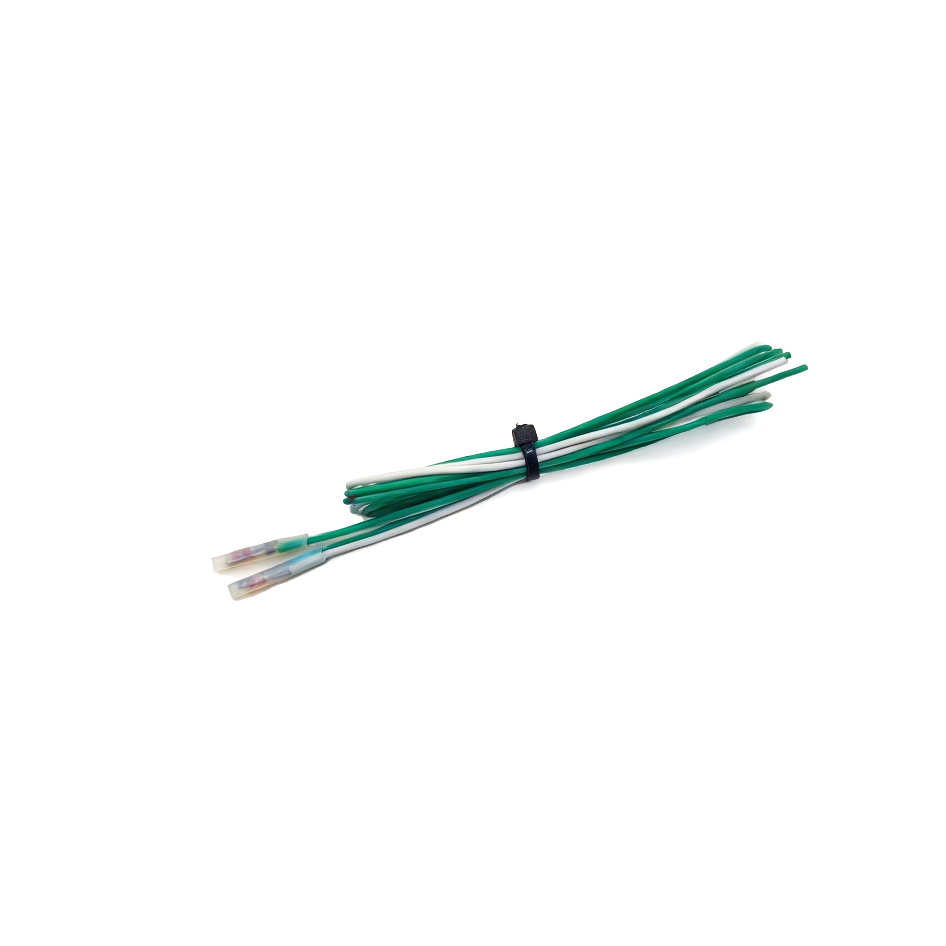 PT1000 Temperature Sensor – Plastic-Encapsulated Type