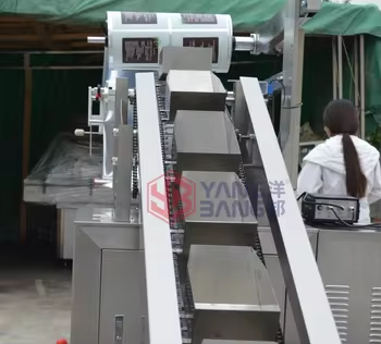 آلة تعبئة وتغليف بالأكياس للخضروات YB-450LD الأكثر مبيعًا، لأكياس براعم الفاصوليا، مع وظيفة تشكيل الأكياس واللحام الوسادي