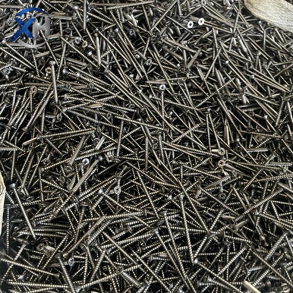 Screw Screw