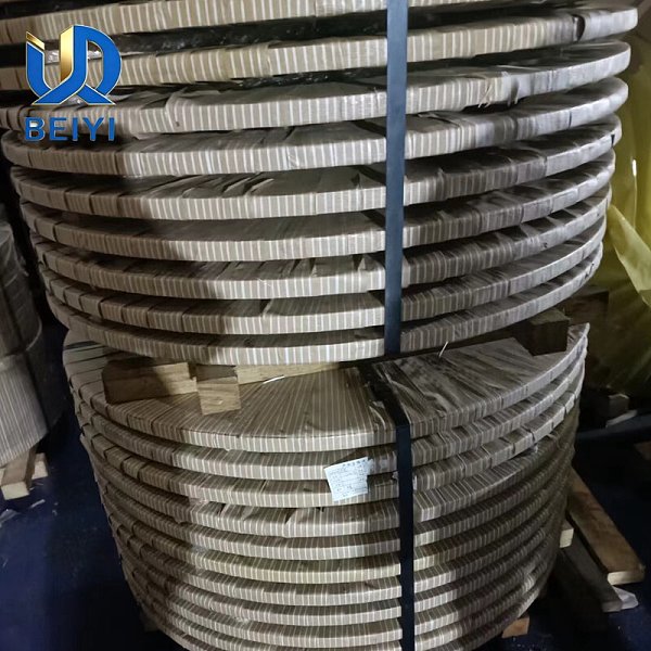 304 Stainless Strip