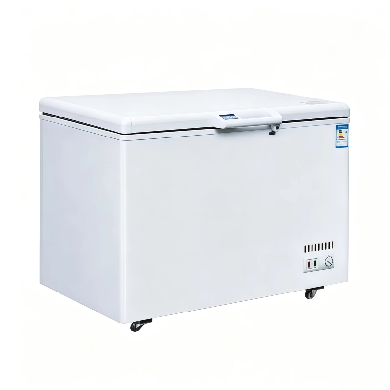 High Capacity Industrial Chest Deep Freezer | Commercial Low Temp Storage Freezer for Ice Cream Factory