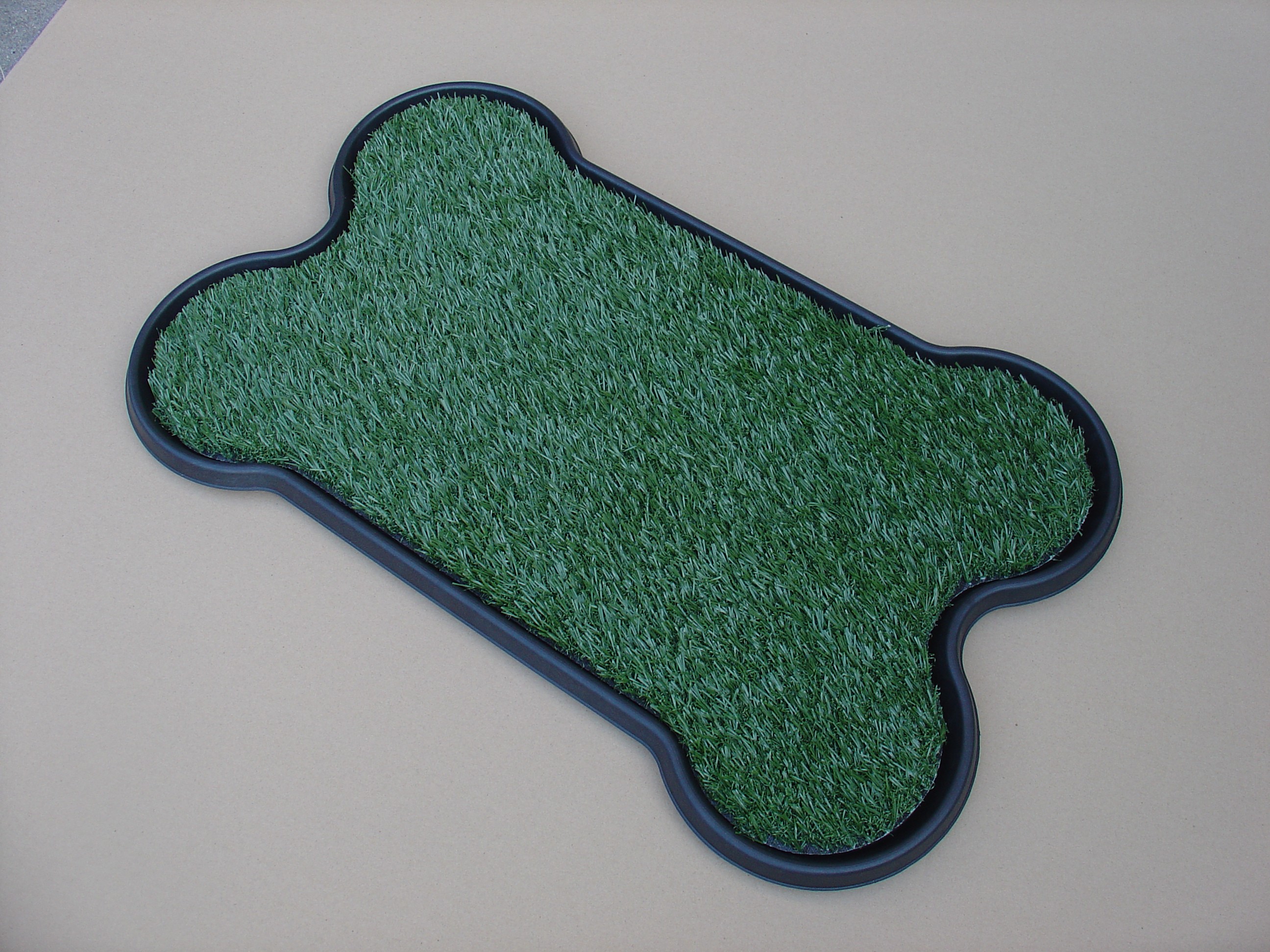 Dog Potty