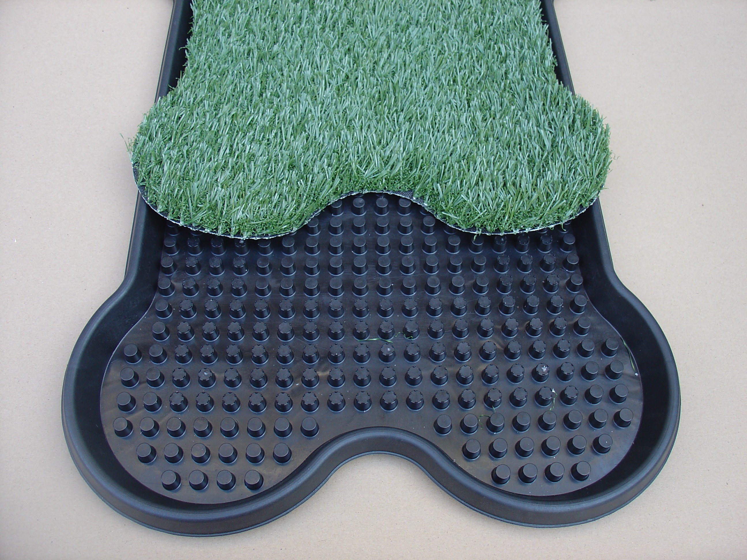 Dog Potty