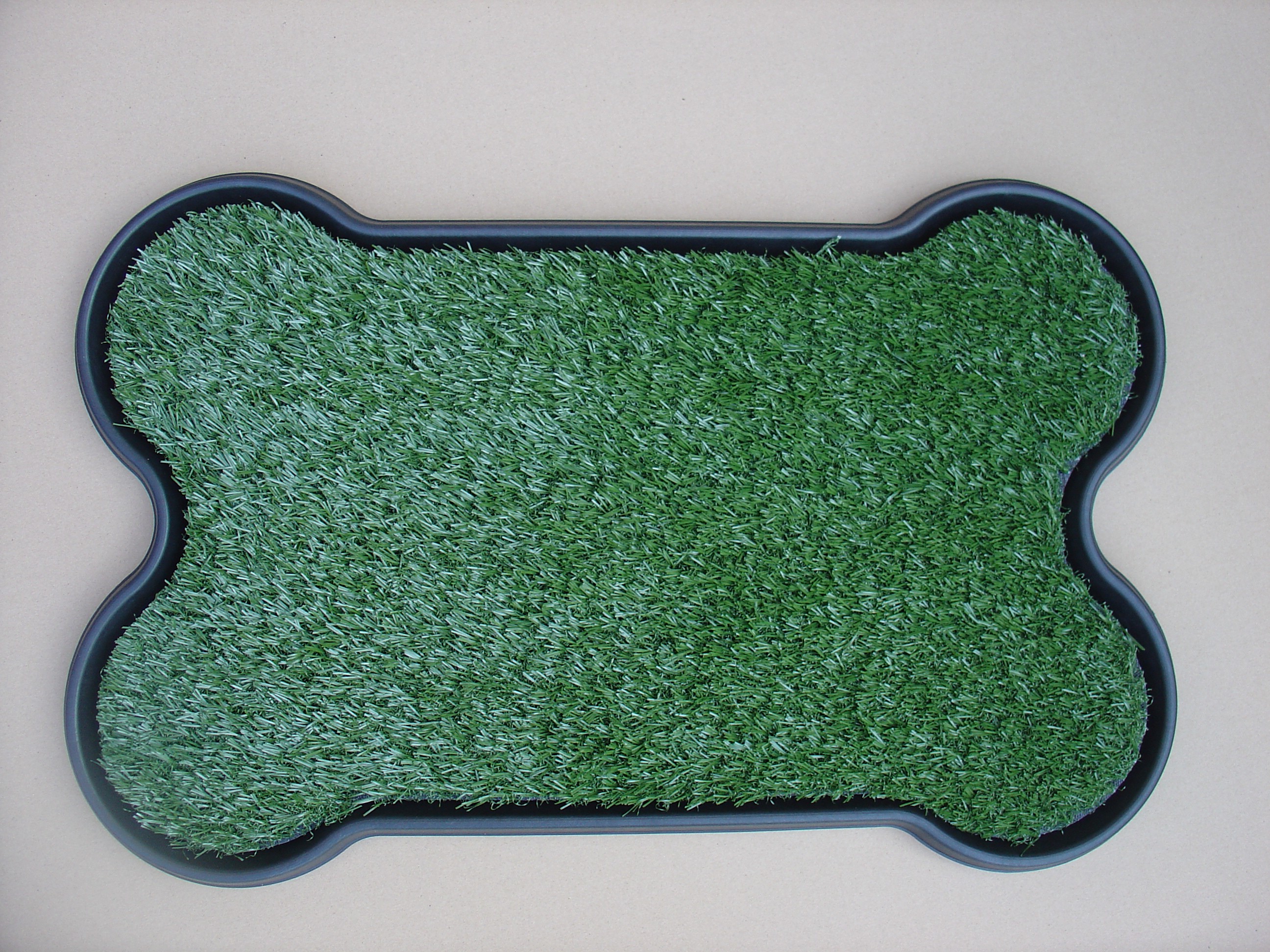 Dog Potty