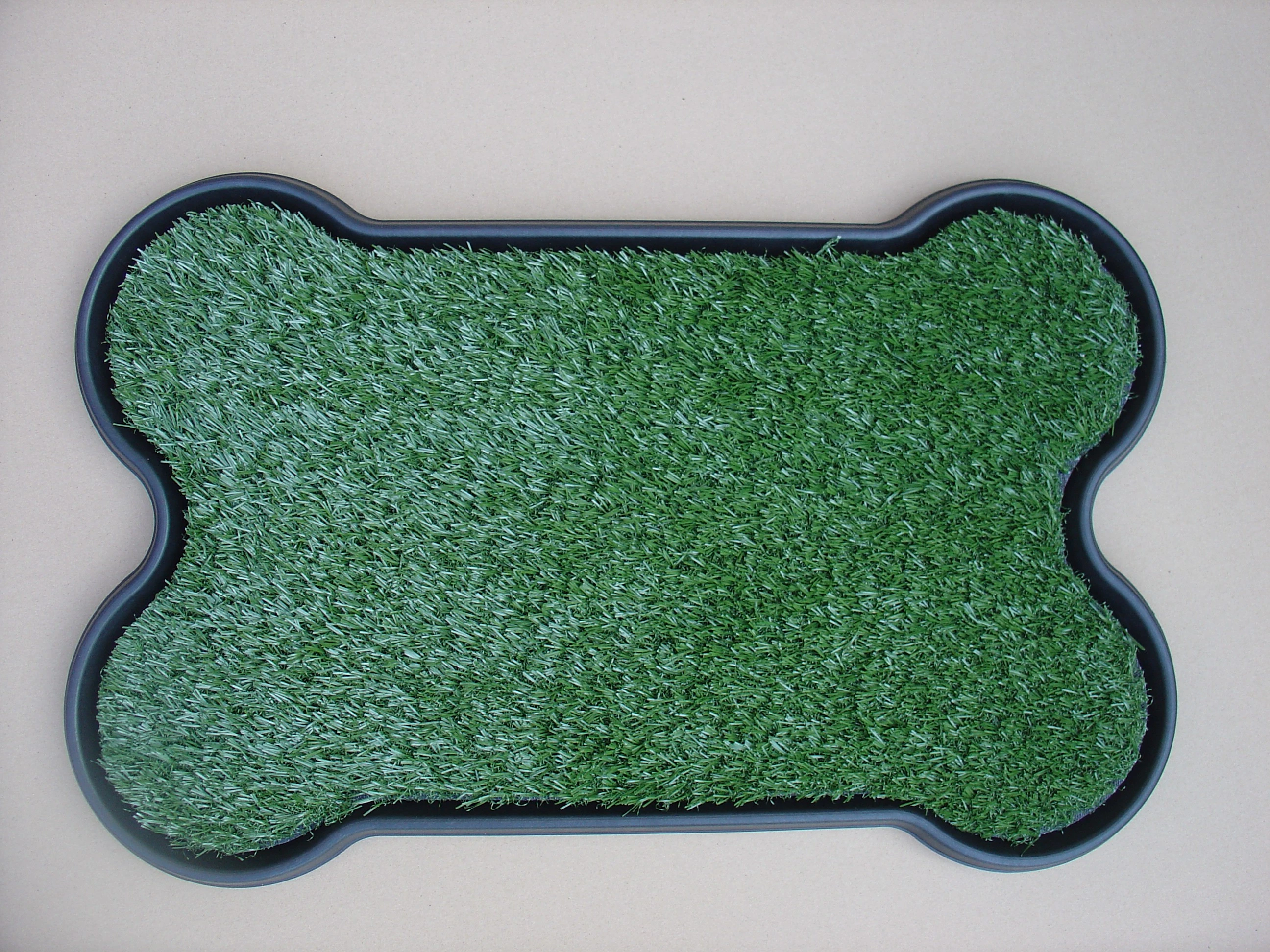 Dog Potty Dog Potty