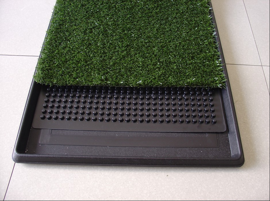 Dog Potty