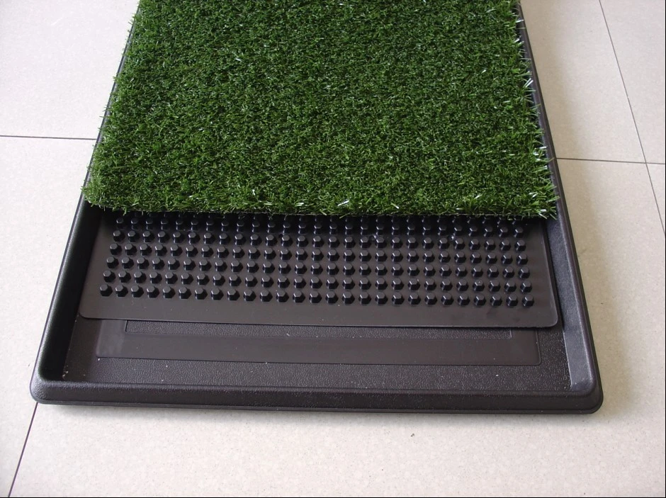 Dog Potty Dog Potty