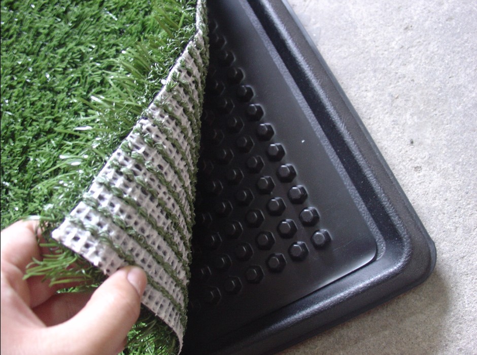 Dog Potty