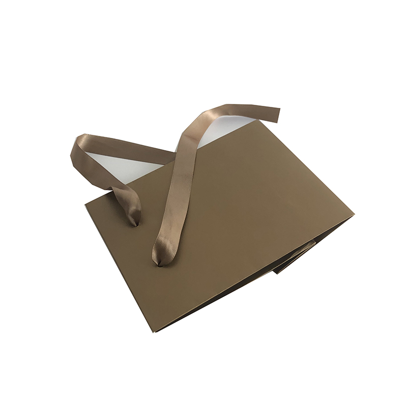 Paper Gift bag Paper Gift bag