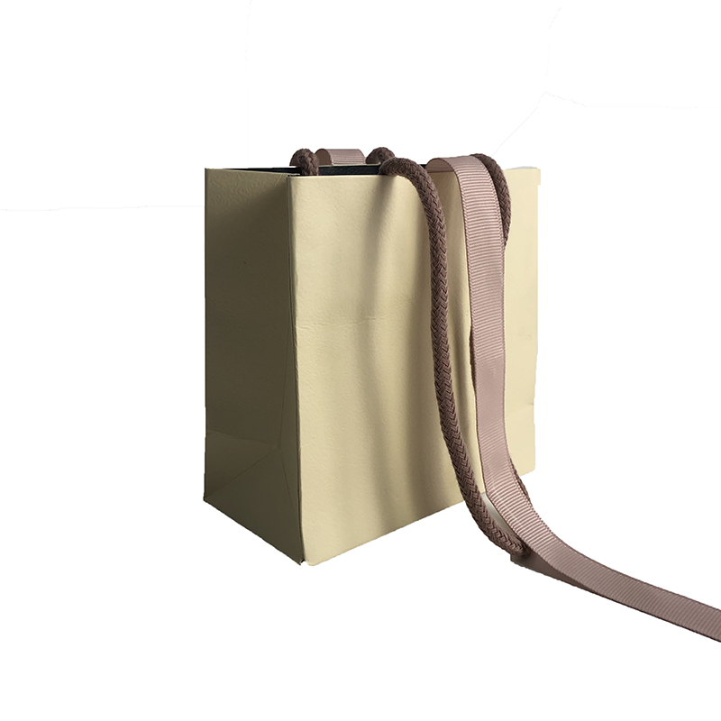 Paper Shopping Bag Paper Shopping Bag
