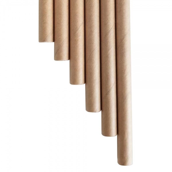 Biodegradable Drinking Straws