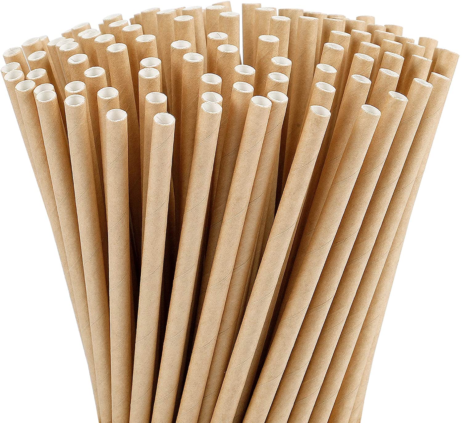 Biodegradable Drinking Straws